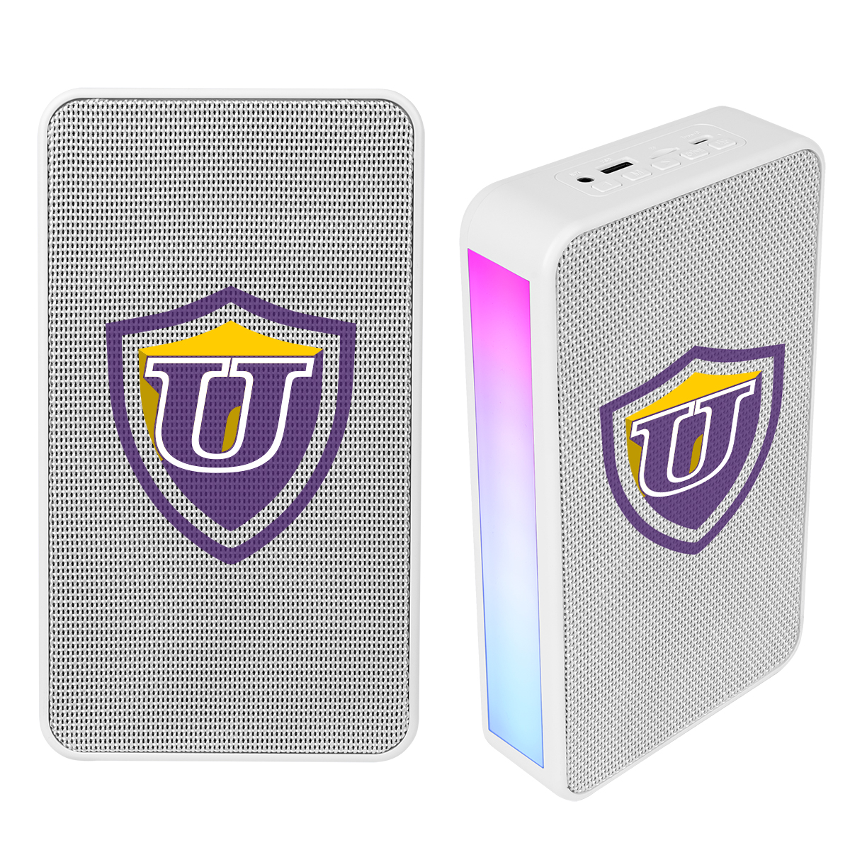 Wireless Wall Mount Speaker
